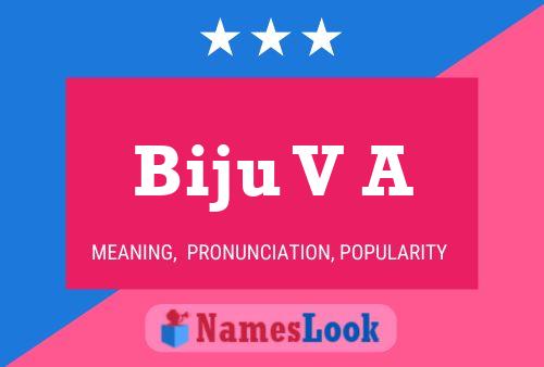 Biju V A Name Poster