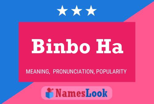 Binbo Ha Name Poster