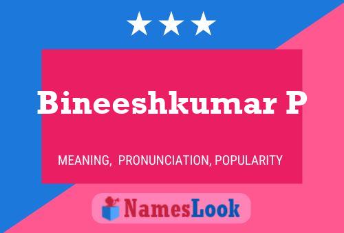 Bineeshkumar P Name Poster