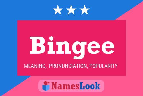 Bingee Name Poster