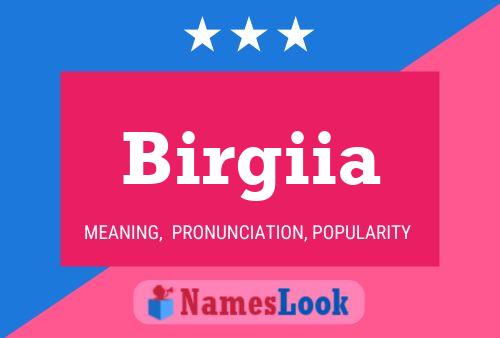 Birgiia Name Poster