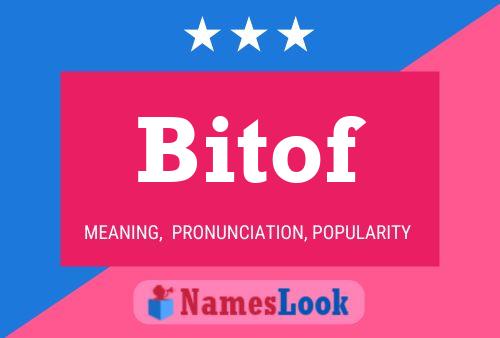 Bitof Name Poster