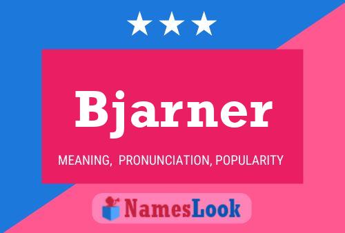 Bjarner Name Poster