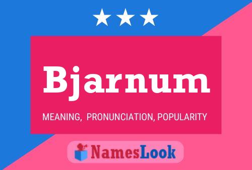 Bjarnum Name Poster