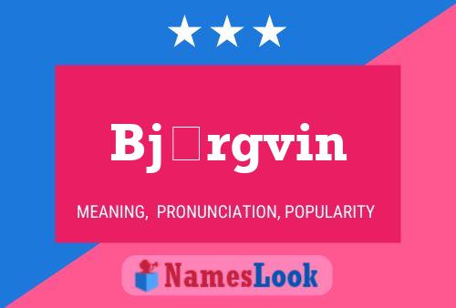 Björgvin Name Poster