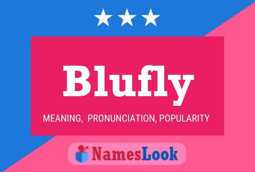 Blufly Name Poster