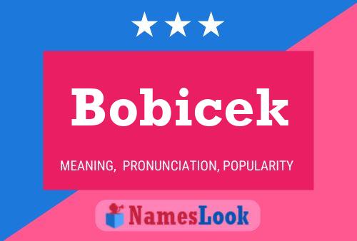 Bobicek Name Poster