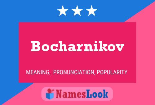 Bocharnikov Name Poster