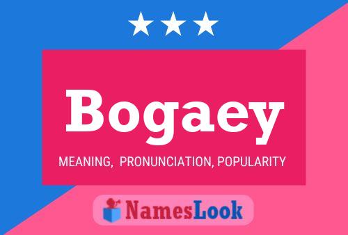 Bogaey Name Poster