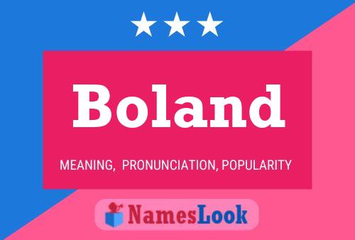 Boland Name Poster