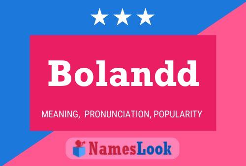 Bolandd Name Poster