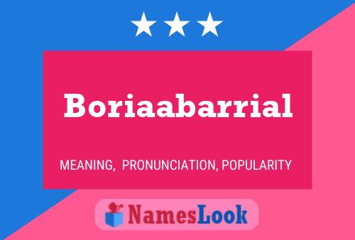 Boriaabarrial Name Poster