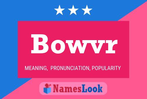 Bowvr Name Poster