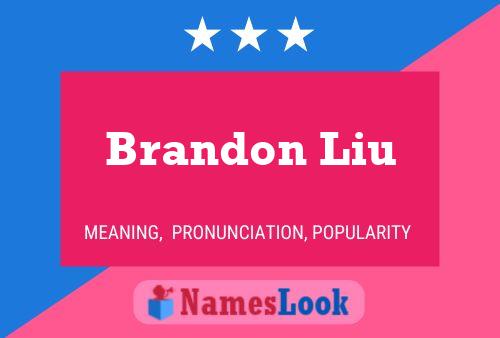 Brandon Liu Name Poster