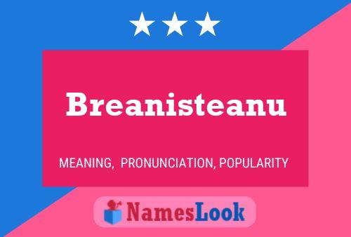 Breanisteanu Name Poster