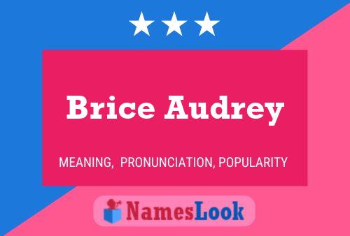 Brice Audrey Name Poster