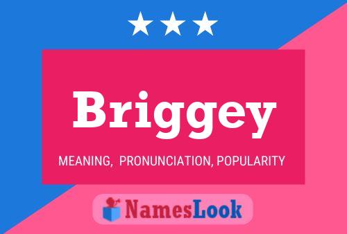 Briggey Name Poster