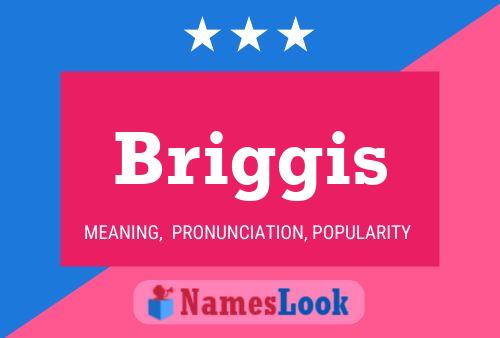 Briggis Name Poster