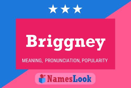 Briggney Name Poster