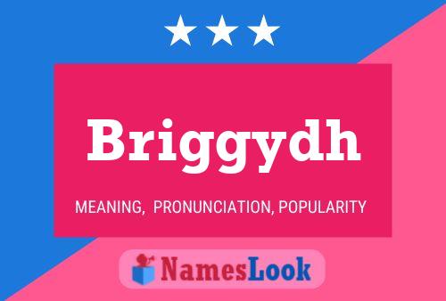 Briggydh Name Poster