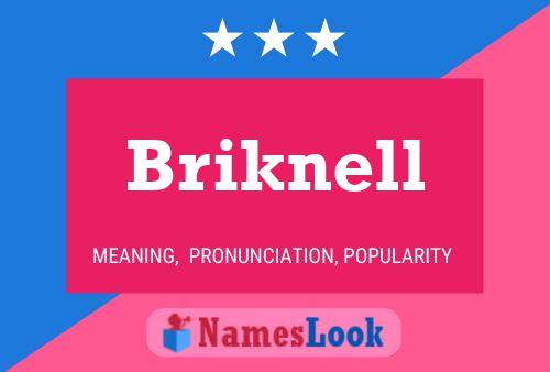 Briknell Name Poster