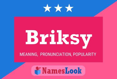 Briksy Name Poster