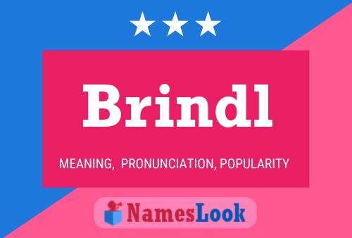 Brindl Name Poster