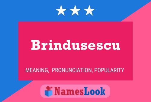 Brindusescu Name Poster