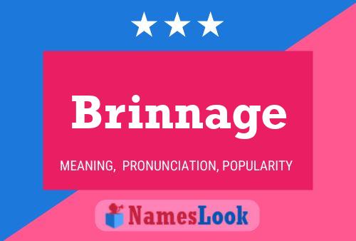 Brinnage Name Poster