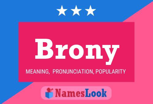 Brony Name Poster