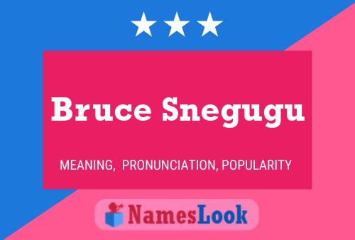 Bruce Snegugu Name Poster