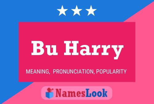 Bu Harry Name Poster