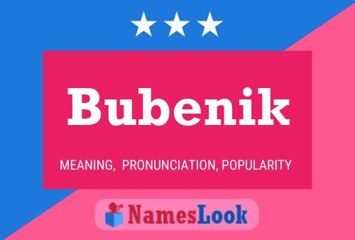 Bubenik Name Poster