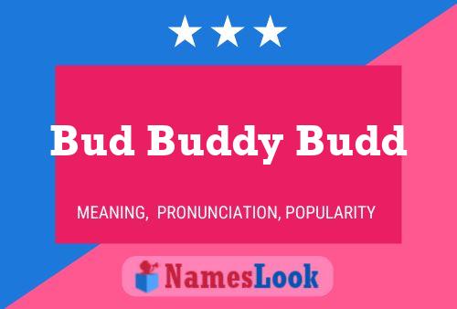 Bud Buddy Budd Name Poster