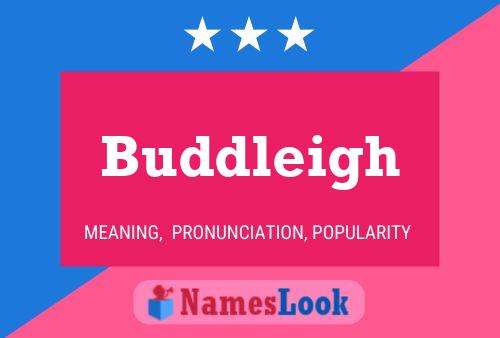 Buddleigh Name Poster