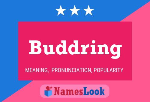 Buddring Name Poster