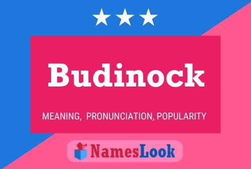 Budinock Name Poster