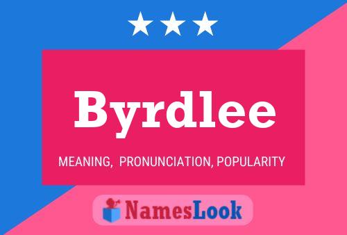 Byrdlee Name Poster