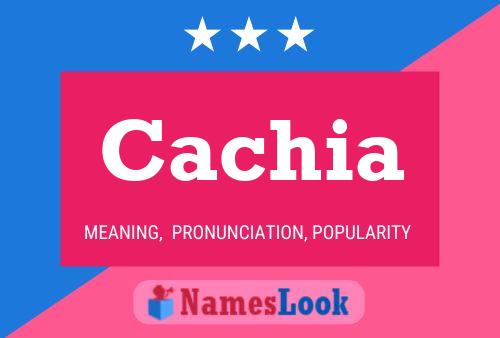 Cachia Name Poster