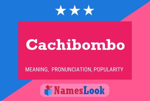 Cachibombo Name Poster