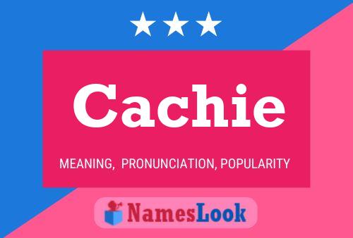 Cachie Name Poster