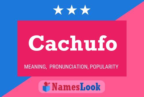 Cachufo Name Poster