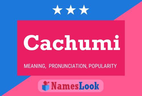 Cachumi Name Poster