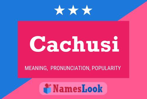 Cachusi Name Poster