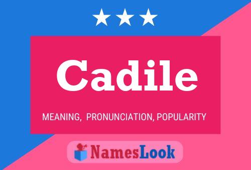 Cadile Name Poster