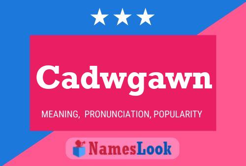 Cadwgawn Name Poster