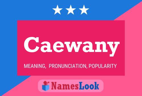 Caewany Name Poster