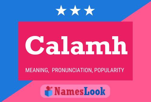 Calamh Name Poster