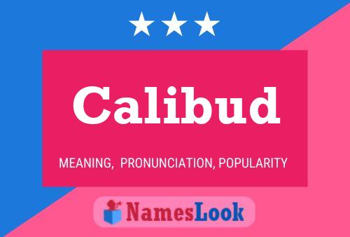 Calibud Name Poster