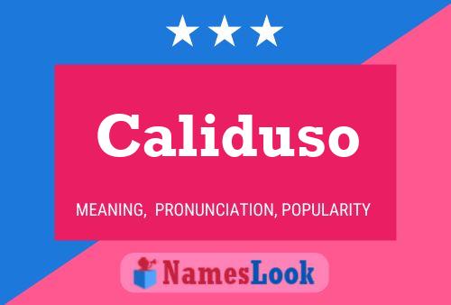 Caliduso Name Poster